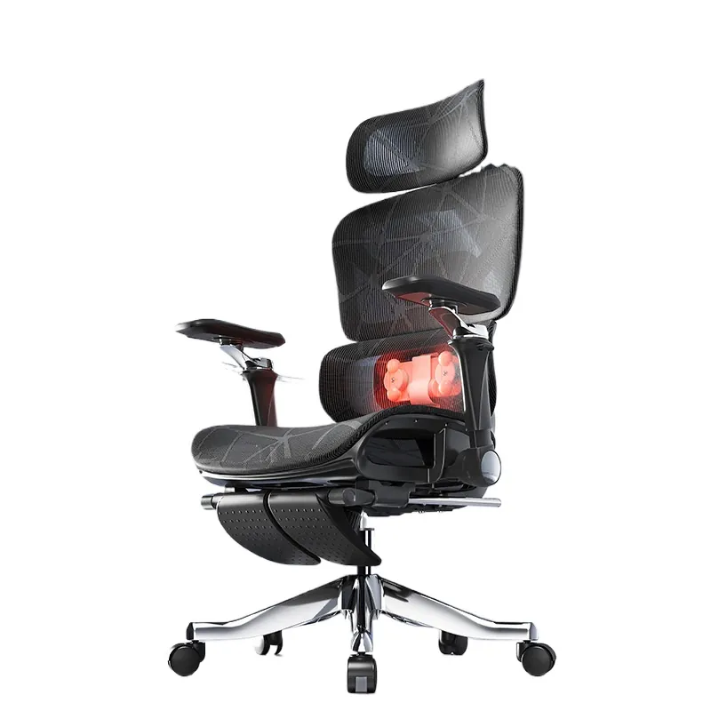 Ergonomic Massage Lumbar Suppo - Home Office Ergonomics review and price