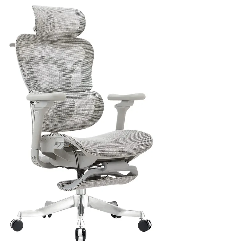 Ergonomic Office Chair for Com - Home Office Ergonomics review and price