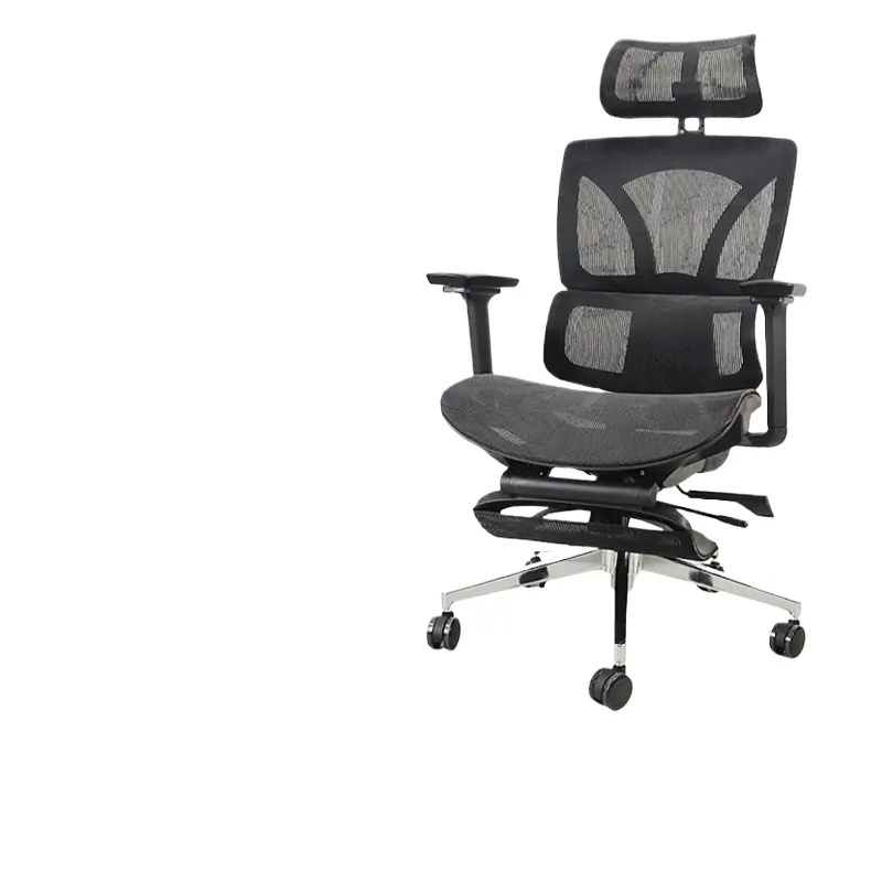 Ergonomic Office Chair for Rui - Home Office Ergonomics review and price