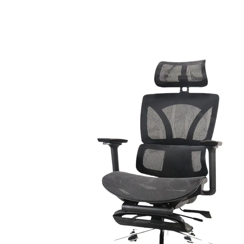 Ergonomic Office Chair for Rui - Home Office Ergonomics review and price