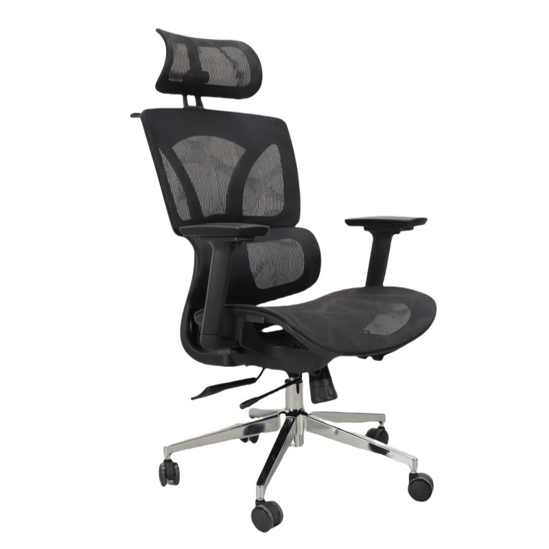 Ergonomic Office Chair for Rui - Home Office Ergonomics review and price