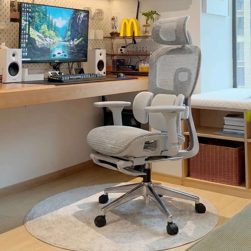 Ergonomic Office Chair with Lu - Home Office Ergonomics review and price