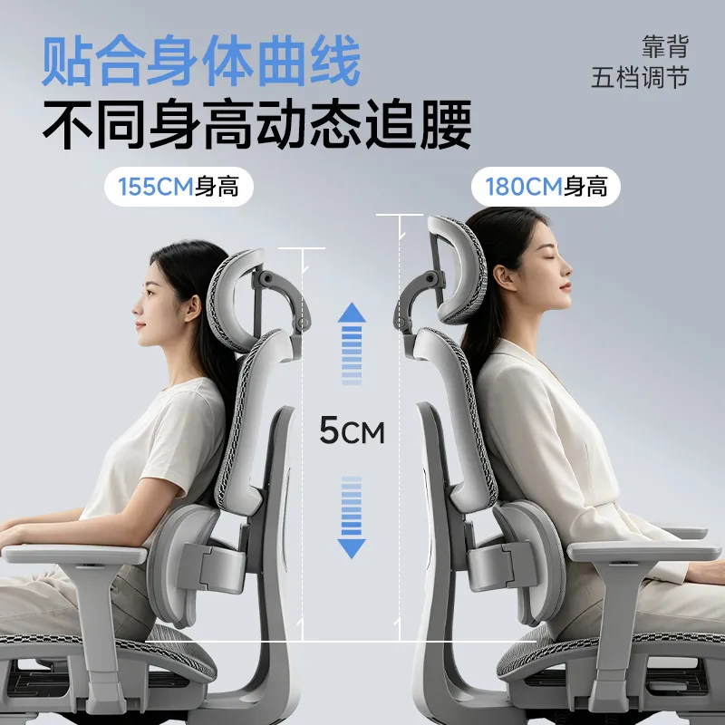 Ergonomic Office Chair with Lu - Home Office Ergonomics review and price