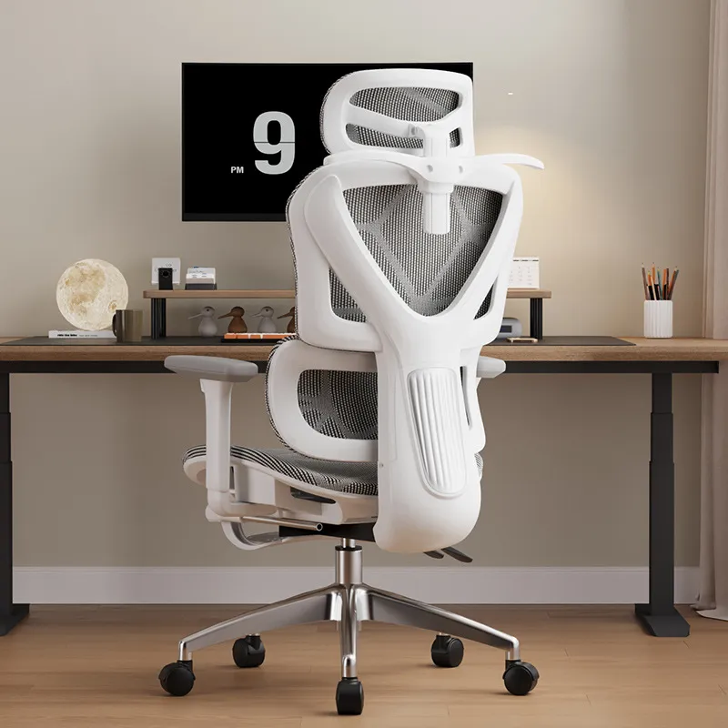 Ergonomic Computer Chair E-spo - Home Office Ergonomics review and price