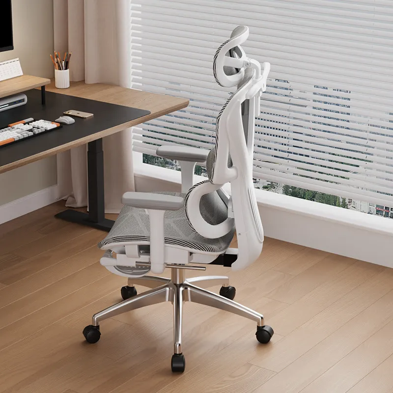 Ergonomic Computer Chair E-spo - Home Office Ergonomics review and price