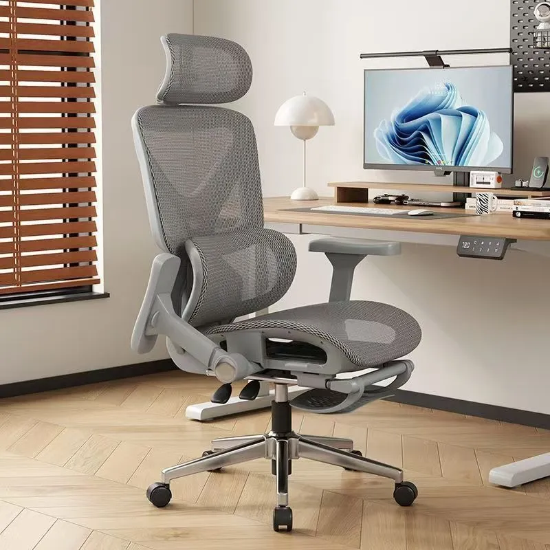 Ergonomic Office Chair with Lu - Home Office Ergonomics review and price