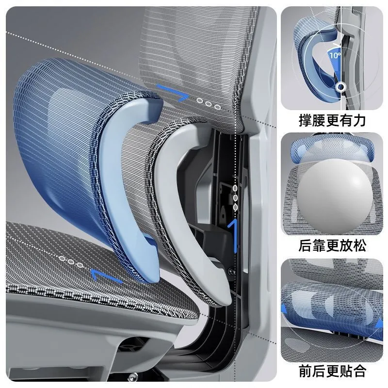 Ergonomic Office Chair with Lu - Home Office Ergonomics review and price